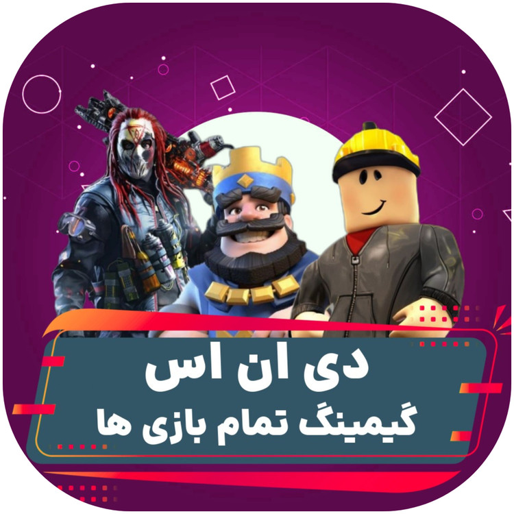 دی ان اس گیمینگ